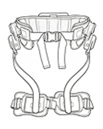 Main Structure